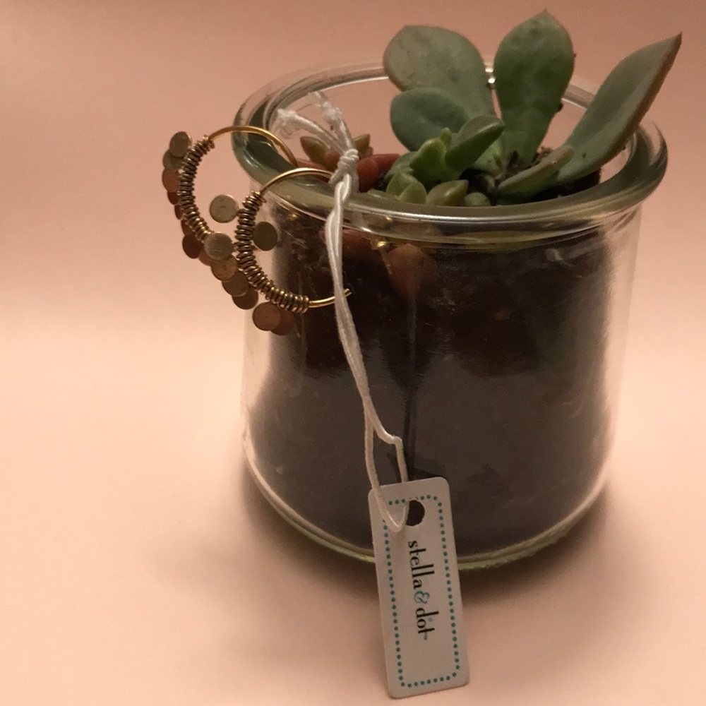 Stella + Dot! Fringe Hoop Earrings